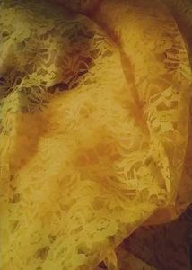 Yellow Lace Saree