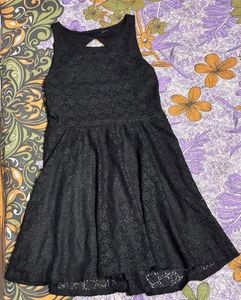 NoBo Bold &amp; Beautiful Black Lace Mini Dress