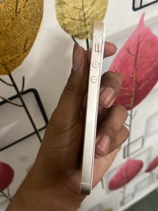 iPhone SE 1st Generation Model Gold Display Replacement Needed