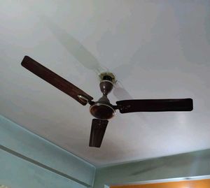 CEILING FAN FOR YOUR HOME
