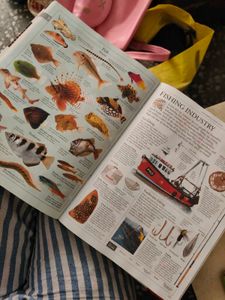 Encyclopedia