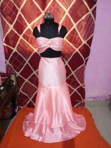 Fish Cut Dress