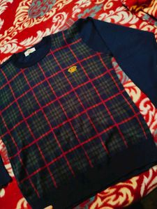 Men Formal Type Sweater