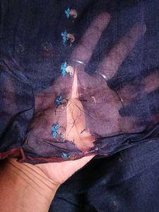Katan Silk With Jari Work