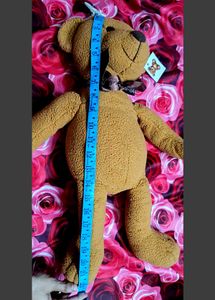 Teddy