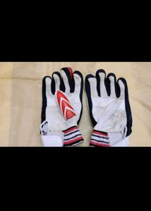 Prime Sports Test Cricket Gloves