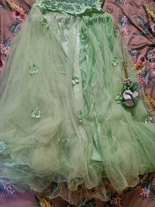 Mint Green Embroidered Lehenga choli