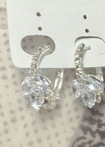 Sparkling Silver Earrings