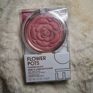 Flower Pots Powder Blush