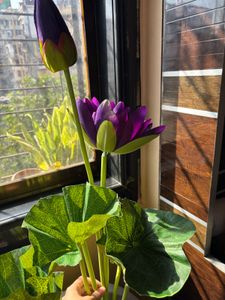 Artificial Big Flower #flower #artificial