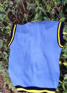 Blue Sweater Vest