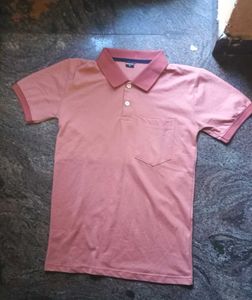 Cotton T Shirt Plain