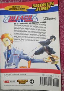 bleach volume 1