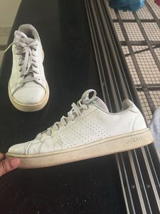 Addidas White Sneakers.