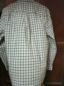 Green Stripes SHIRT With Full Sleeves