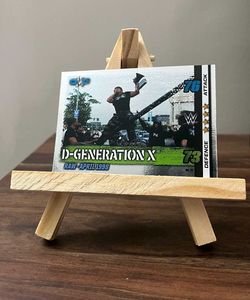 WWE D-Generation X Trading Card (Slam Attax 2017)
