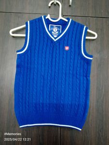 Boy's Blue Sweater