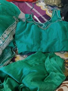 Green Embellished Saree &amp; Blouse