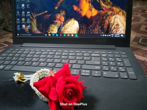 Red Rose Pearl Bracelet Set