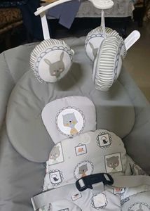 Joie Baby dreamer Bouncer and rocker