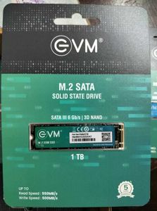 EVM M.2 SATA 1TB SSD