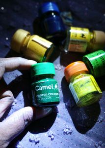 6 Camel poster Colors 🎨