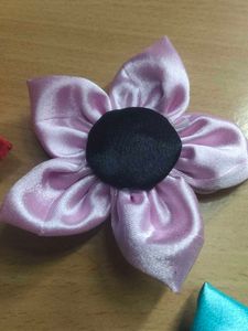 Stylish 6 Hair Clips 99 Rupees