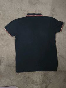 Bandal of fame forever Polo T-Shirt