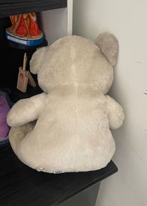 Teddybear