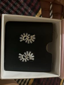 Sparkling Silver Earrings