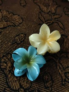Flower Hair Clips Nd Evil Eye Bracelet Combo!!
