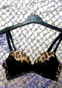 Animalier Aimerfeel