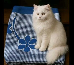 Vintage Gingham Quilt