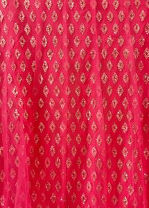 Peach Pink Ish  Net Lehenga