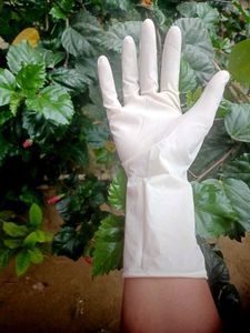Surgical Gloves Combo 12