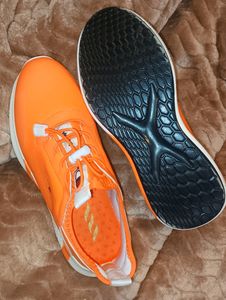 Champion Running Shoes.