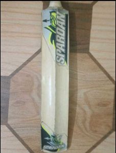 cricket bat