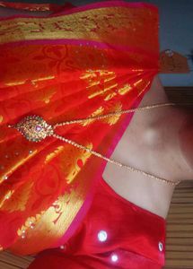 Red & Gold Sari with Embellishments