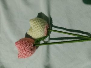 Tulip 🌷🧶