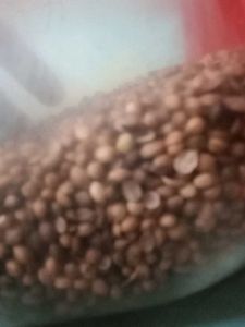 CORIANDER Seeds fried Healthy And Weight lossing