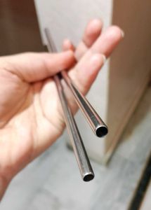 Stainless Steel Straws (Set of 2)