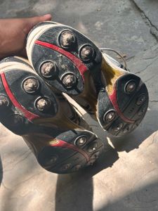 Asics Gel Cricket Spike Shoes - Size 11