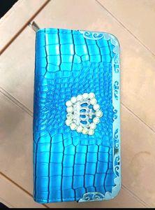 Beautiful Clutch