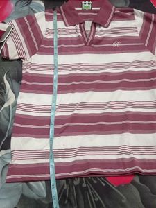 Combo Of Tshirt For Men