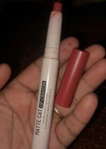 Good Combo  Matte Cat Lip Crayon