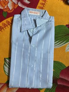 Striped Blue Shirt