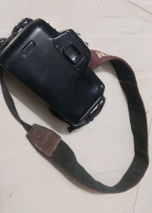 Nikon Camera Working