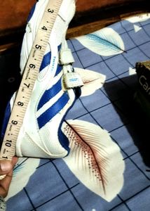 Boys Footwear Campus