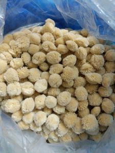 Pack of 5 Packets Pompom Wool Balls(60 Pcs.)