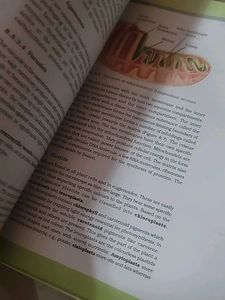 Cbse Biology Class 11 ncert